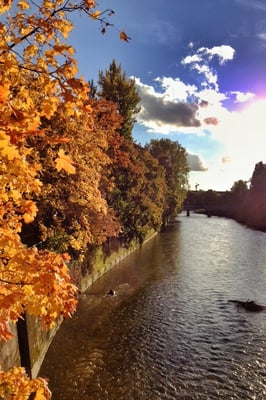 Ludwigsbrücke by null