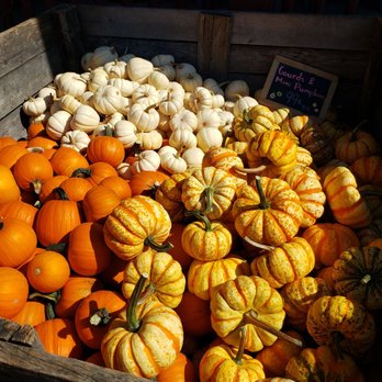 Schutt's Apple Mill - Fruits & Veggies Near Me - Webster, New York