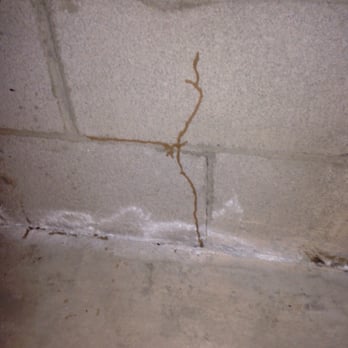 Cactus Self Storage - Termites!!! - Self Storage Near Me - Glendale, Arizona Cactus Self Storage - Termites!!! - Self Storage Near Me - Glendale, Arizona