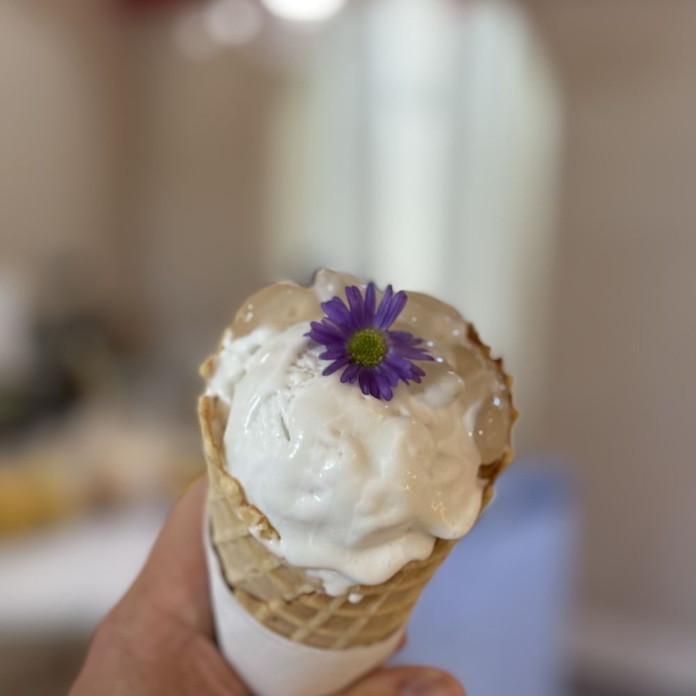 Cococello - Ice Cream & Frozen Yogurt Near Me - St Petersburg, Florida