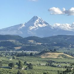 Panorama Lodge Bed & Breakfast
