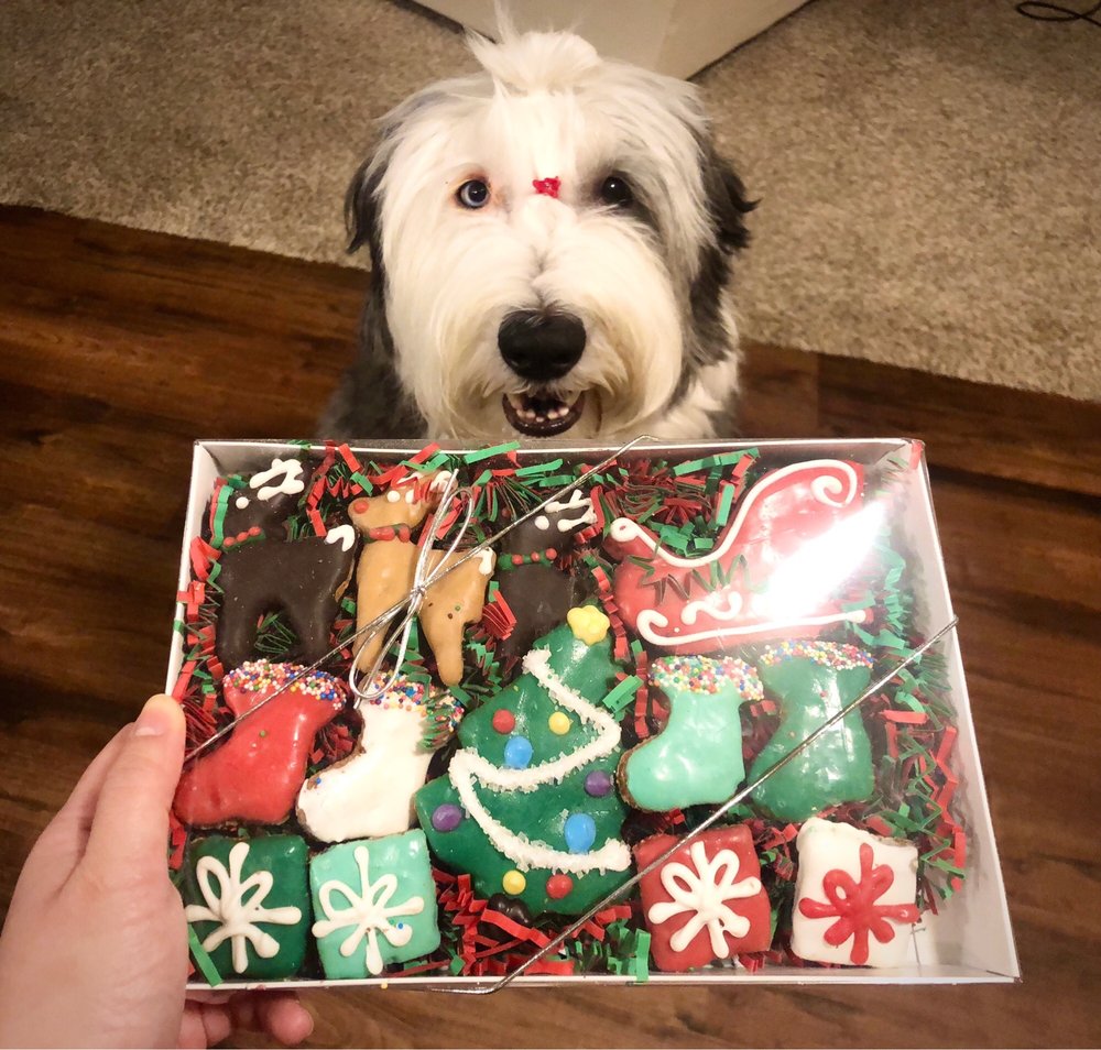 BROWN DOG BAKERY Updated September 2024 48 Photos & 22 Reviews