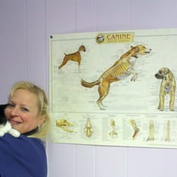 Rockland Holistic Veterinary Care