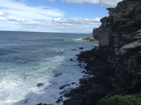 Royal National Park by null