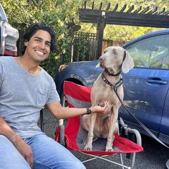 Cannon Dog Training - Senta! with shoot model - Pet Training Near Me Cannon Dog Training - Senta! with shoot model - Pet Training Near Me