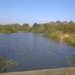 Kiltonga Nature Reserve