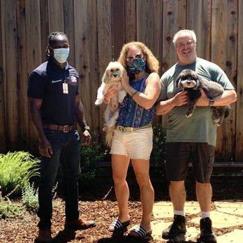 The K9 Professor - Happy! - Pet Training Near Me