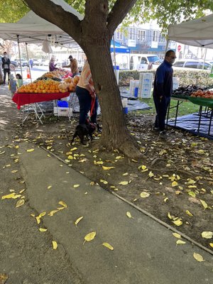 Union City Farmers' Market by null