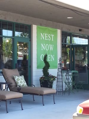 The NEST by null