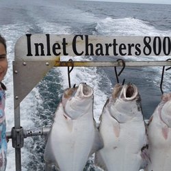 Inlet Charters Across Alaska Adventures - 1-800-770-6126  Inlet Charters Across Alaska adventures,   P.o. Box 2083    Homer, Ak. 99603 http://halibutcharters.com/ inle...