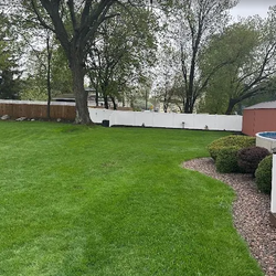 TruGreen Lawn Care - Weeds or thinning turf in Syracuse, NY, or nearby Cicero? Explore lawn treatment options with TruGreen.