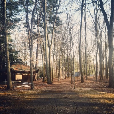 Hampshire College by null