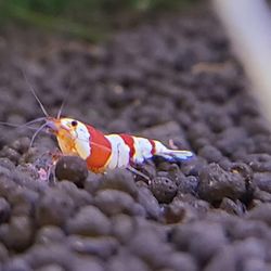 Nebraska Aquatic Supply