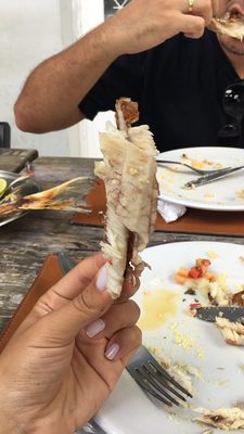 Tambaqui de Banda by null