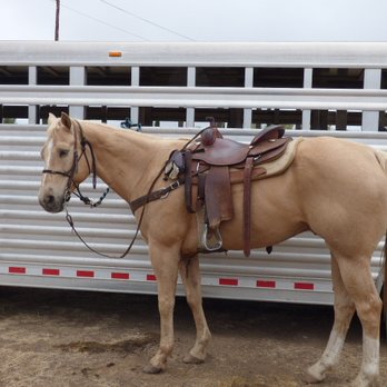 Wine Country Trails by Horseback - Tours Near Me - Temecula, California Wine Country Trails by Horseback - Tours Near Me - Temecula, California