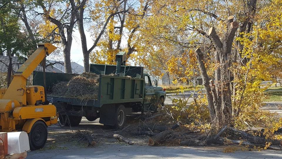 Larned Tree Service - tree service in Laurel, MT