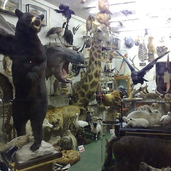Get Stuffed - Home Decor Near Me - London, XGL Get Stuffed - Home Decor Near Me - London, XGL