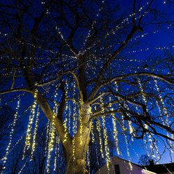The New England Holiday Light Company