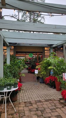 Tallahassee Nurseries by null