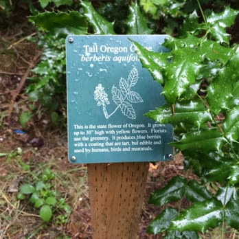 Willamette Mission State Park - Educational sign. - Parks Near Me - Gervais, Oregon Willamette Mission State Park - Educational sign. - Parks Near Me - Gervais, Oregon