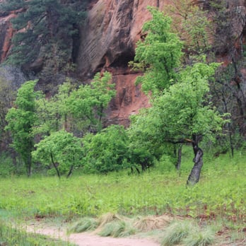 West Fork Trail - Hiking Near Me - Sedona, Arizona