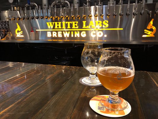 White Labs Brewing Co - San Diego by null