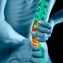 Physical Therapy and Lifetime Wellness