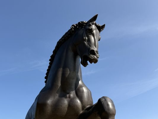 Frederik Meijer Gardens & Sculpture Park by null