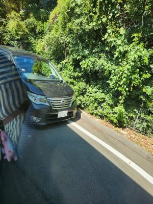 Nokonoshima Island by null