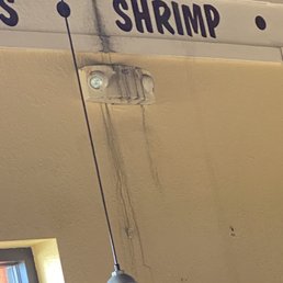 Black mold. Black mold.