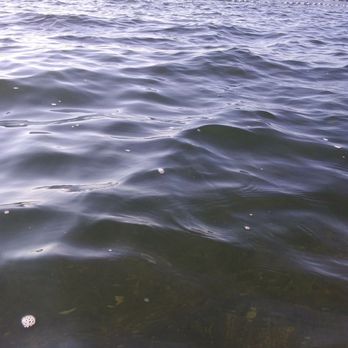 Lake Sammamish State Park - The Power of The Universe! - Parks Near Me - Issaquah, Washington