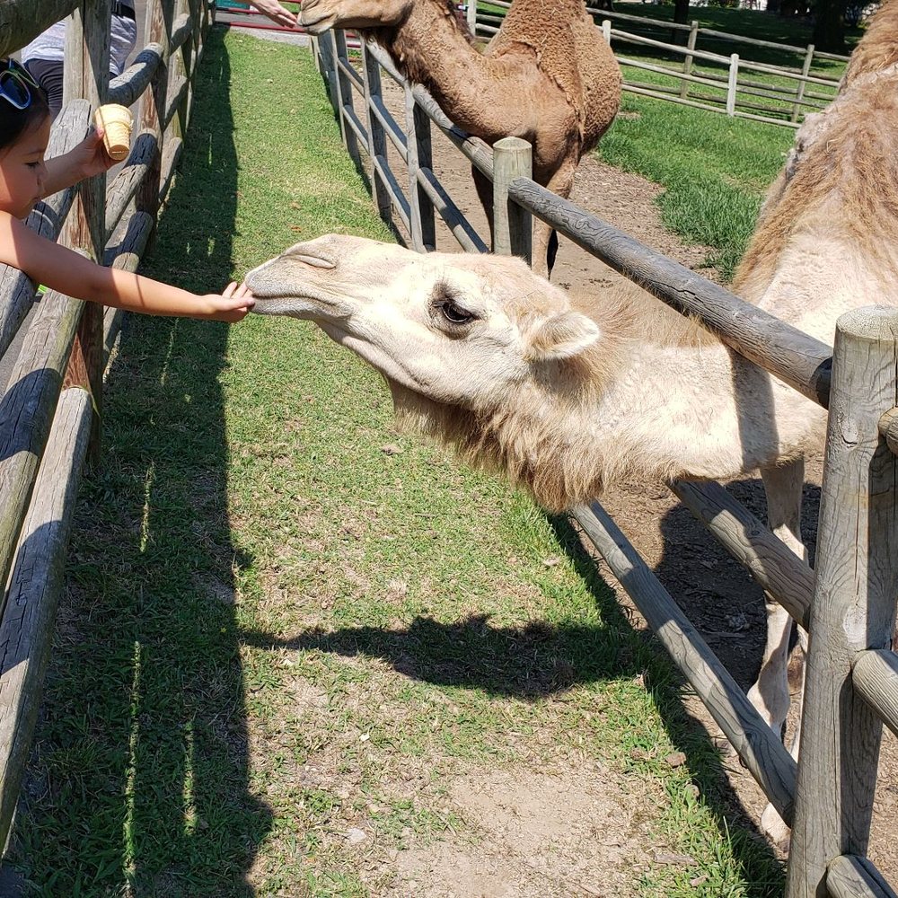 Grant's Farm - Attraction Farms Near Me - St. Louis, Missouri Grant's Farm - Attraction Farms Near Me - St. Louis, Missouri