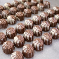 Commodore Chocolatier