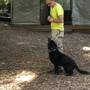 TM Dog Training - Driving the production of the reward (i.e. the ball or toy) - Pet Training Near Me TM Dog Training - Driving the production of the reward (i.e. the ball or toy) - Pet Training Near Me
