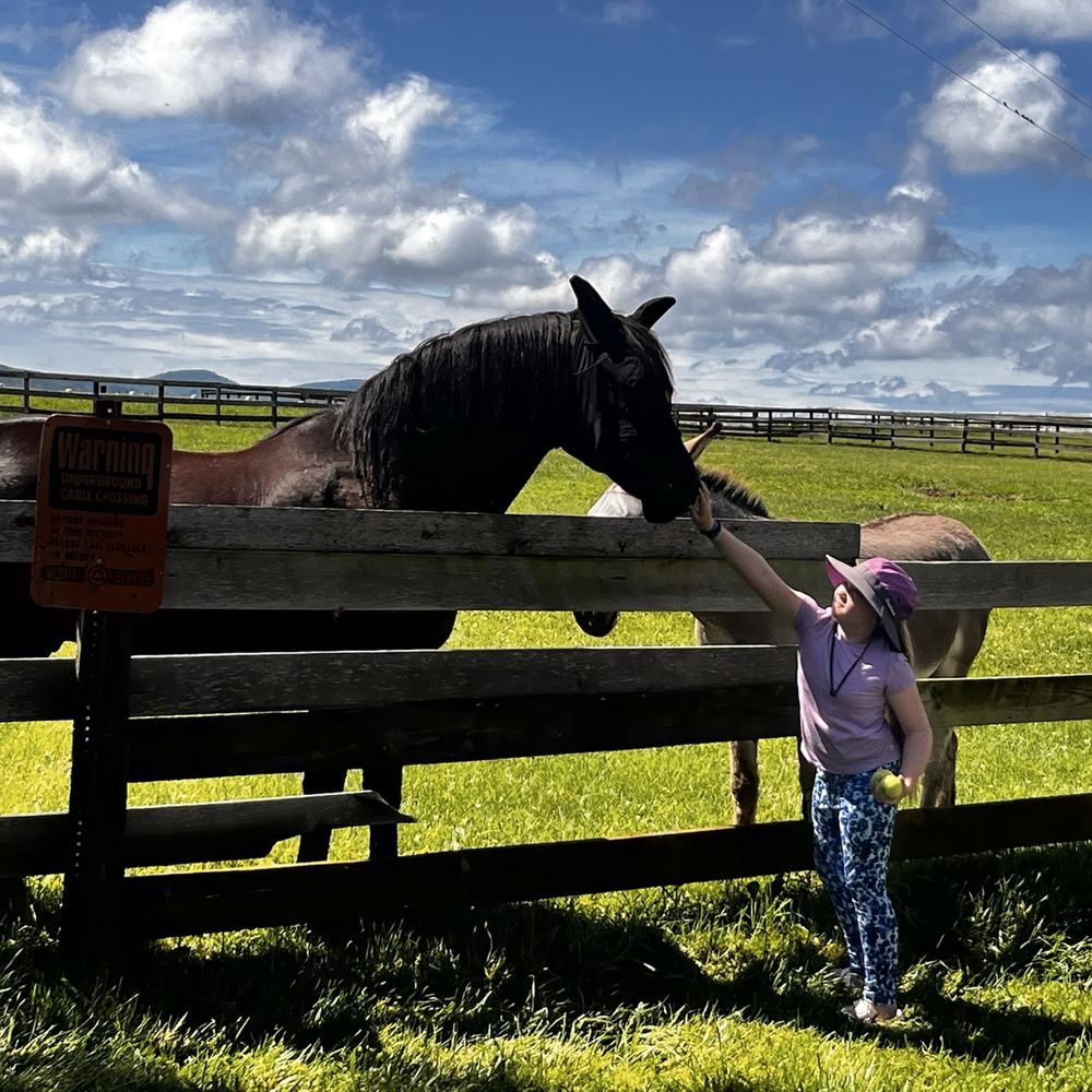 Gavin Waits (@gavin_waits) / Posts / X, image size:1000x1000