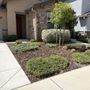Jones Industries Landscaping and Maintenance