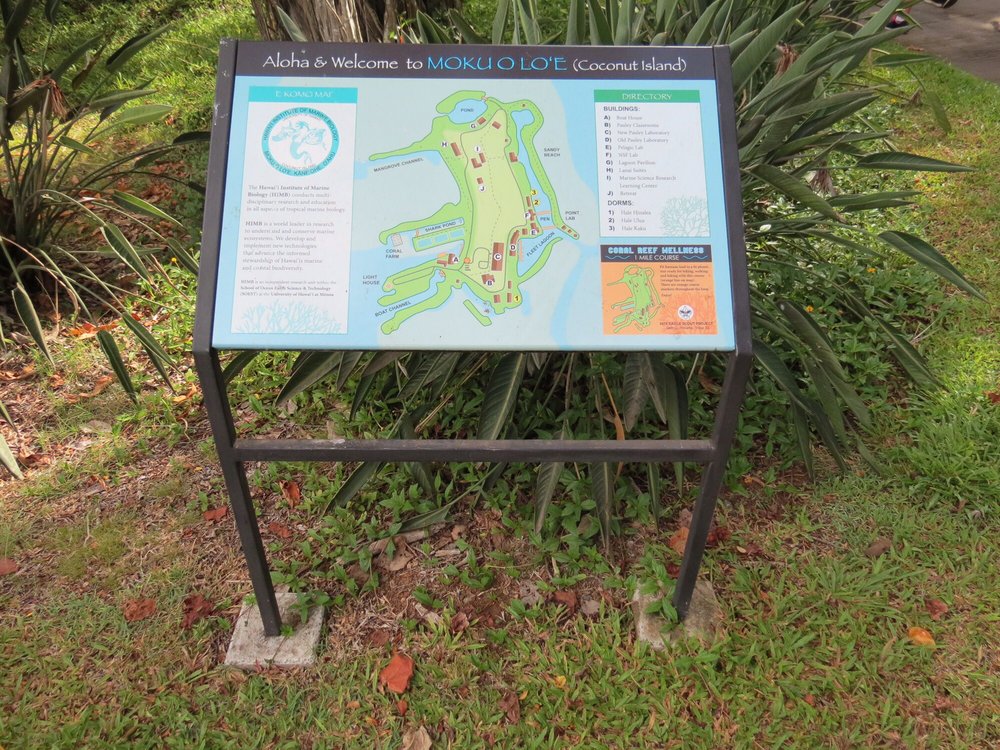 HAWAII INSTITUTE OF MARINE BIOLOGY AT COCONUT ISLAND 121 Photos & 10