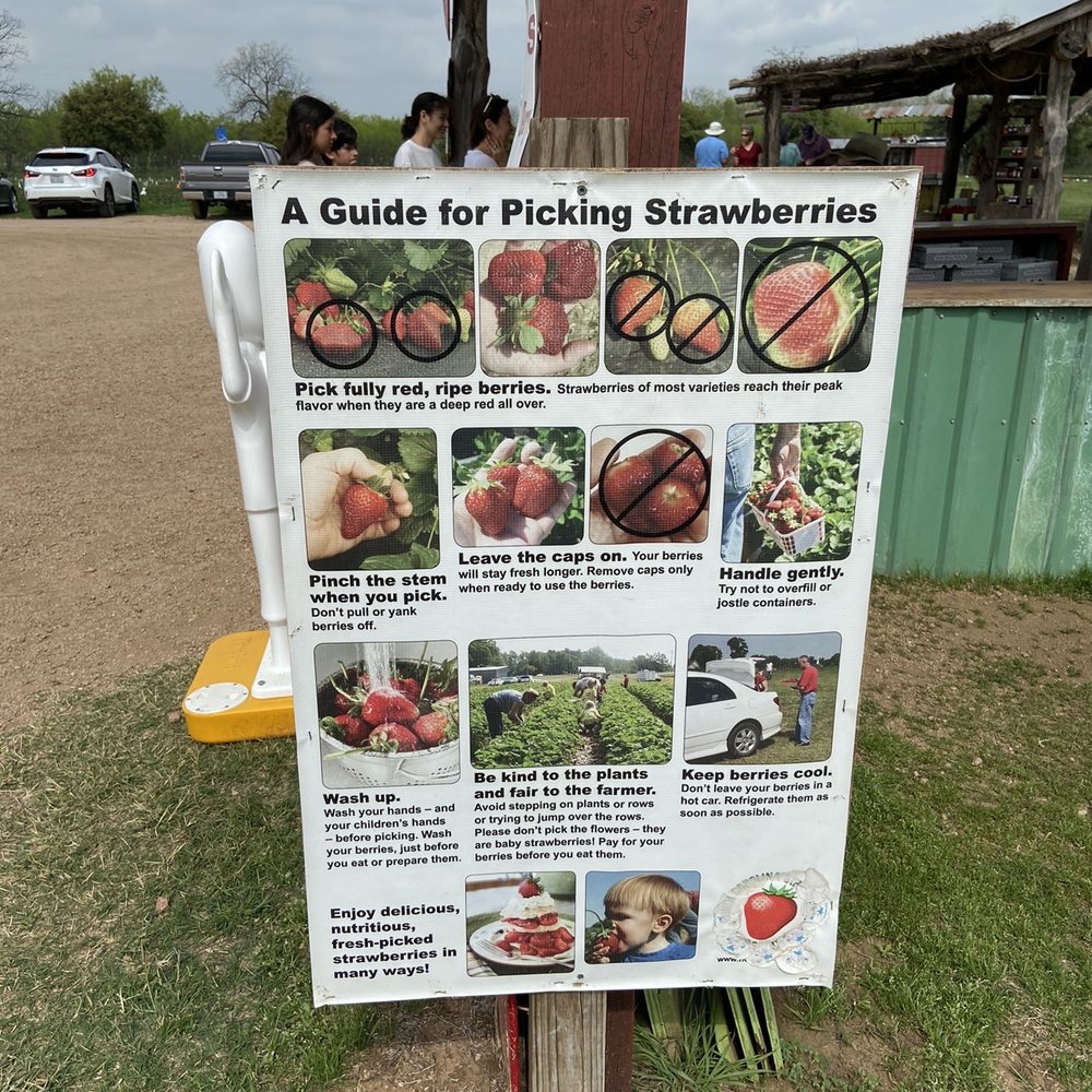 Sweet Berry Farm - Attraction Farms Near Me - Marble Falls, Texas