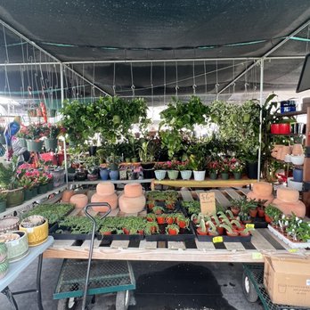 11:1 Succulent Nursery - Nurseries & Gardening Near Me - Whittier, California 11:1 Succulent Nursery - Nurseries & Gardening Near Me - Whittier, California