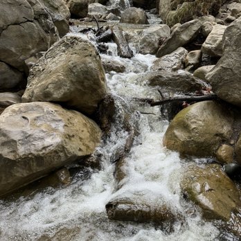 Black Star Canyon Trail - Lots of water the day after the rain. 3/2024 - Hiking Near Me - Orange, California Black Star Canyon Trail - Lots of water the day after the rain. 3/2024 - Hiking Near Me - Orange, California