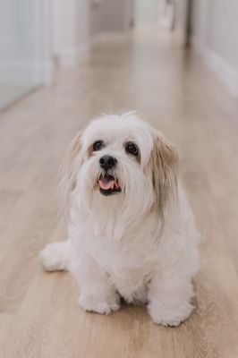 SKYLINE SMILES - Updated January 2026 - 72 Photos & 79 Verified Reviews