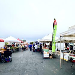 Morro Bay Thursday Farmers Market - You won't even mind the marine layer...