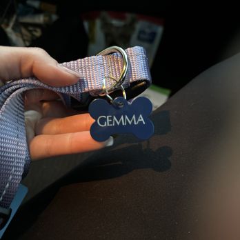 Pasadena Humane - New collar, for a new rescue dog! - Animal Shelters Near Me - Pasadena, California