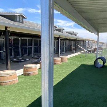 Beyond Grass - Our BG Pet synthetic turf installed June 2021 Tracy, CA - Artificial Turf Near Me - Manteca, California Beyond Grass - Our BG Pet synthetic turf installed June 2021 Tracy, CA - Artificial Turf Near Me - Manteca, California