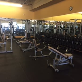 Arbor Fit Club - Large selection of dumbbells and free weights! - Gyms Near Me - Ann Arbor, Michigan Arbor Fit Club - Large selection of dumbbells and free weights! - Gyms Near Me - Ann Arbor, Michigan
