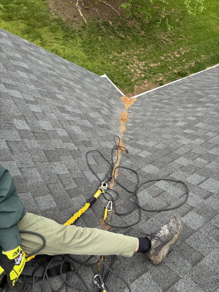 Slide of Studs Gutter Cleaning