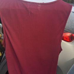 Dixie Cleaners - Burgundy blouse (back), now faded, has lint, and pulled threads