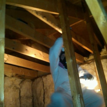 Spanos Environmental - Mold Remediation in Attic - Environmental Testing Near Me - Sarasota, Florida Spanos Environmental - Mold Remediation in Attic - Environmental Testing Near Me - Sarasota, Florida