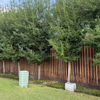Griffin Fence - Batten for privacy - Fences & Gates Near Me - Houston, Texas Griffin Fence - Batten for privacy - Fences & Gates Near Me - Houston, Texas