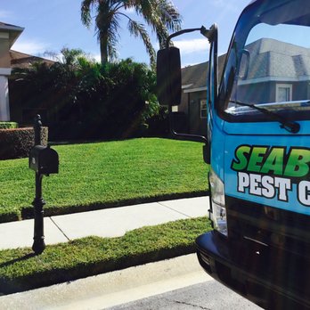 Seabreeze Pest Control - Pest Control Near Me - Hudson, Florida Seabreeze Pest Control - Pest Control Near Me - Hudson, Florida